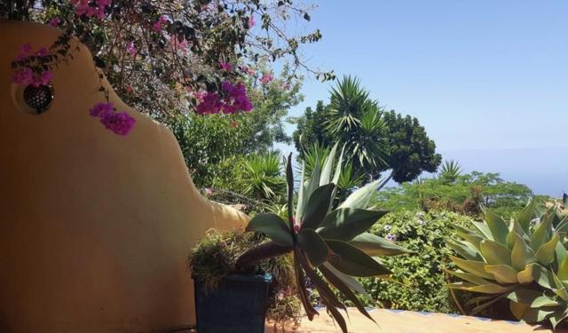 Luna - Finca Manana Los Llanos De Aridane Eksteriør bilde